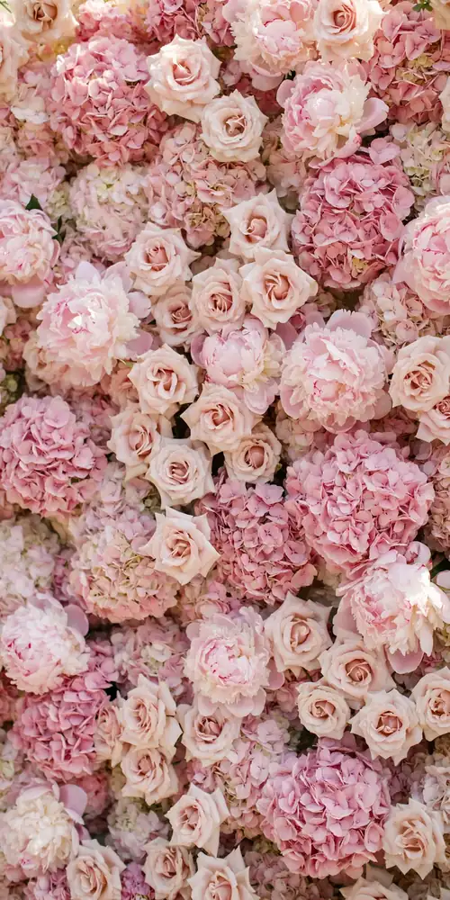 Blush pink flower wall of roses, peonies and hydrangeas