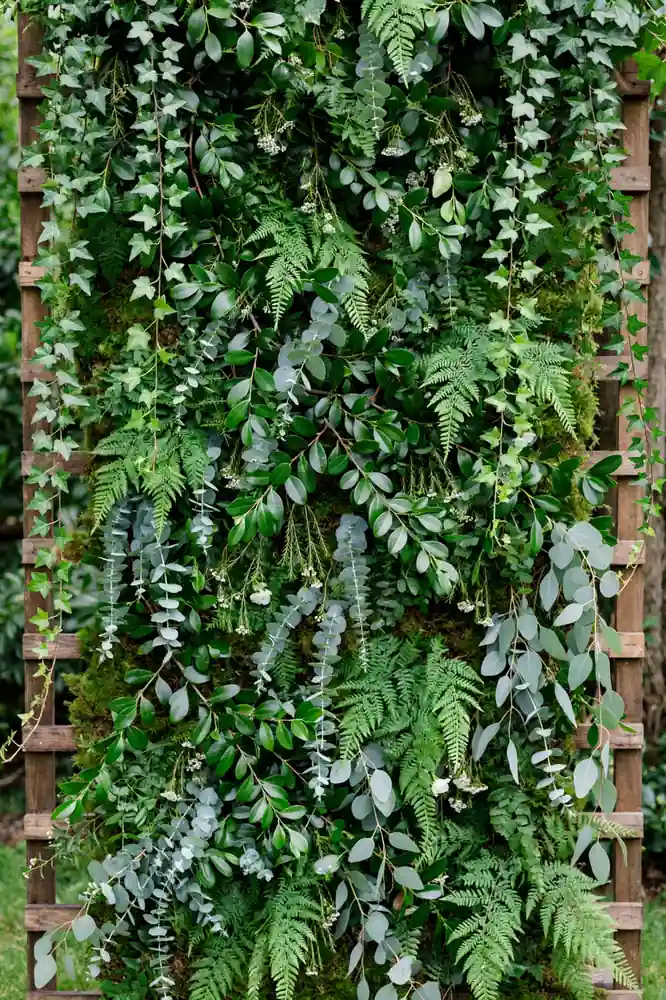 Dense greenery wall with ivy, ferns and eucalyptus